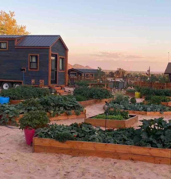 Atlantis Garden Tiny Home Hildale ภายนอก รูปภาพ