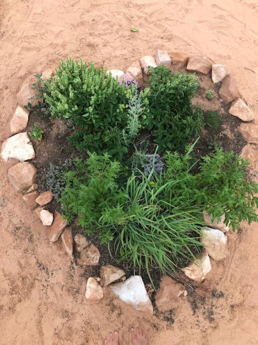 Atlantis Garden Tiny Home Hildale ภายนอก รูปภาพ